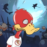 Ducking Fuzz #591