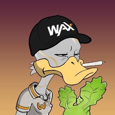 Ducking Fuzz #1104
