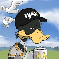 Ducking Fuzz #1700