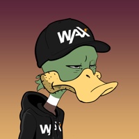 Ducking Fuzz #1811