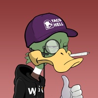 Ducking Fuzz #2091