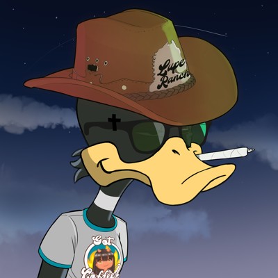 Ducking Fuzz #2148