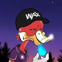 Ducking Fuzz #2694