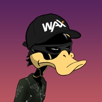 Ducking Fuzz #2748