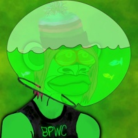 BPWC 4919