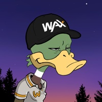 Ducking Fuzz #2949