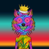 WAX Wolves  01470