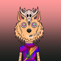 WAX Wolves  02661