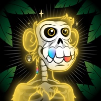 ASTRAL APE 03329