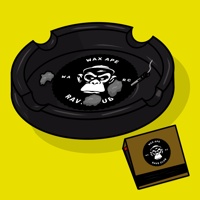 Ash Tray 0273