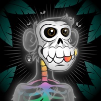 ASTRAL APE 04276