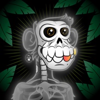 ASTRAL APE 04384