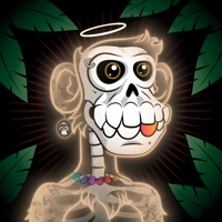 ASTRAL APE 04866