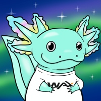 Waxolotl #58