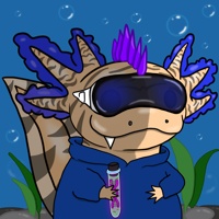 Waxolotl #509
