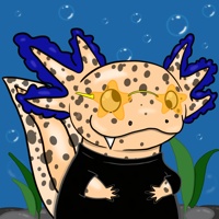 Waxolotl #1004