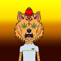 WAX Wolves  03675
