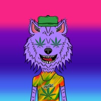 WAX Wolves  03978