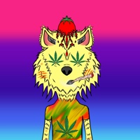 WAX Wolves  04588