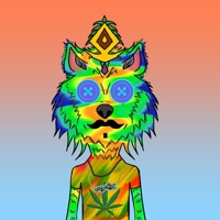 WAX Wolves  04618