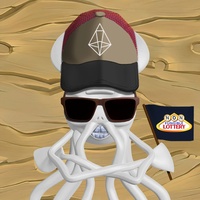 Mr. Squid 222