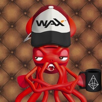 Mr. Squid 543