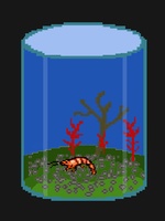aquabowl 008