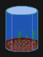 aquabowl 069