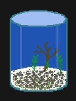 aquabowl 096