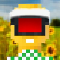 Pixal 04528