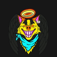 Hyper Husky 00008