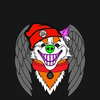 Hyper Husky 00086