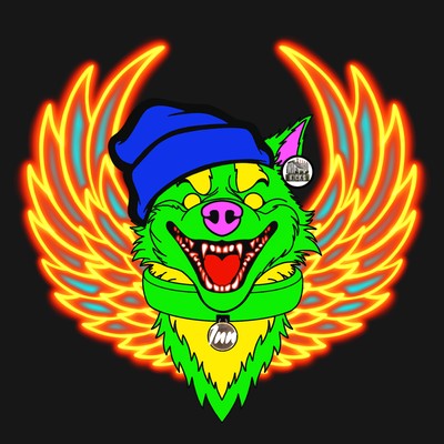Hyper Husky 00089