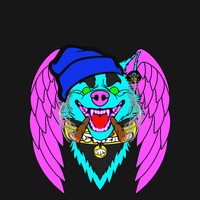 Hyper Husky 00099