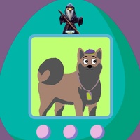 Male Dog 021