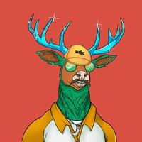   07010