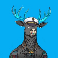   08284