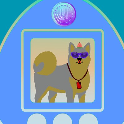 Male Dog 089