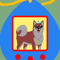 Male Dog 105