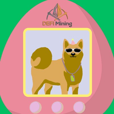 Male Dog 111