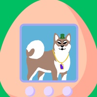 Male Dog 114
