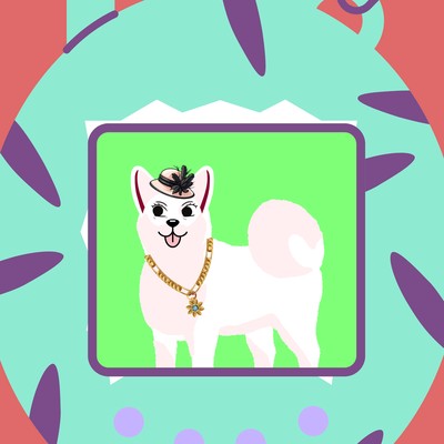 female dog 014