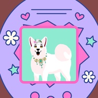 female dog 024