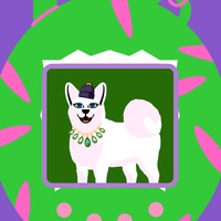 female dog 041