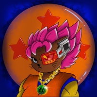 Kitty Ball Z  1316