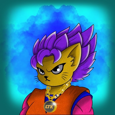 Kitty Ball Z  2194