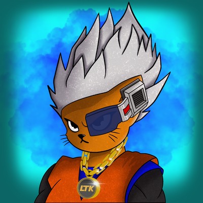 Kitty Ball Z  2677