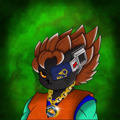 Kitty Ball Z  3916