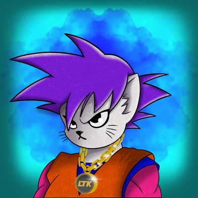 Kitty Ball Z  3960