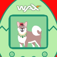 female dog 061